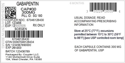 Label (50228 180 05 Gabapentin 300mg 67046 1284 30)